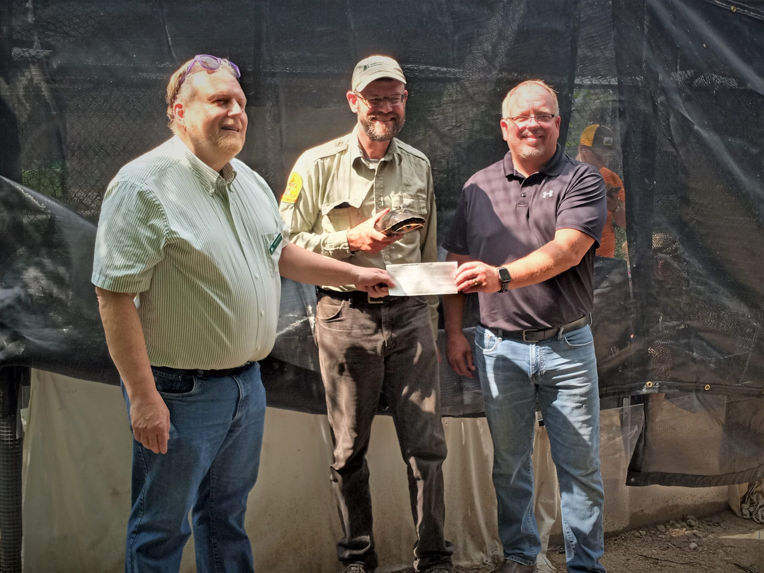 GivingTuesday Blanding's Turtle