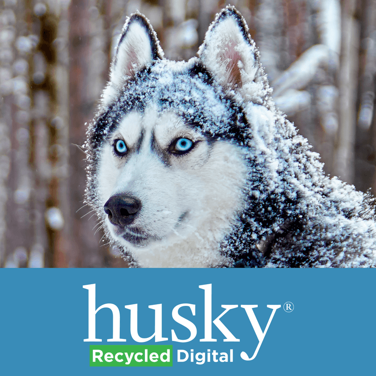 Husky® digital recyclé