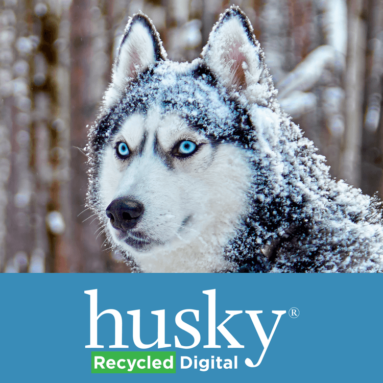 Husky® Numérique recyclé
