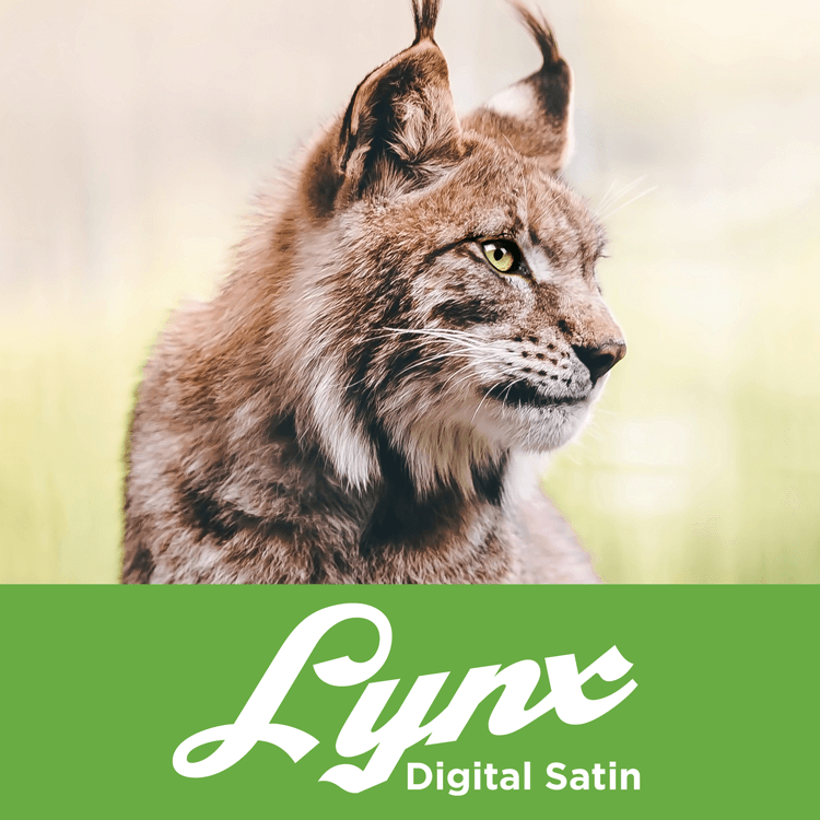 Lynx® Digital Satin