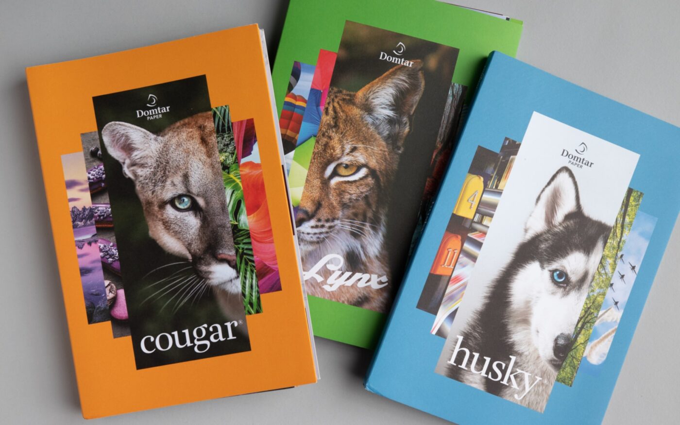 High Quality Printing and Publishing Paper - Domtar