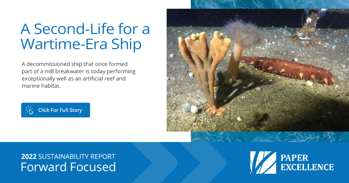 A Second-Life for a Wartime-Era Ship