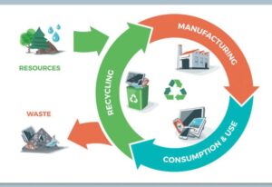 November_Sustainability_Article_Image