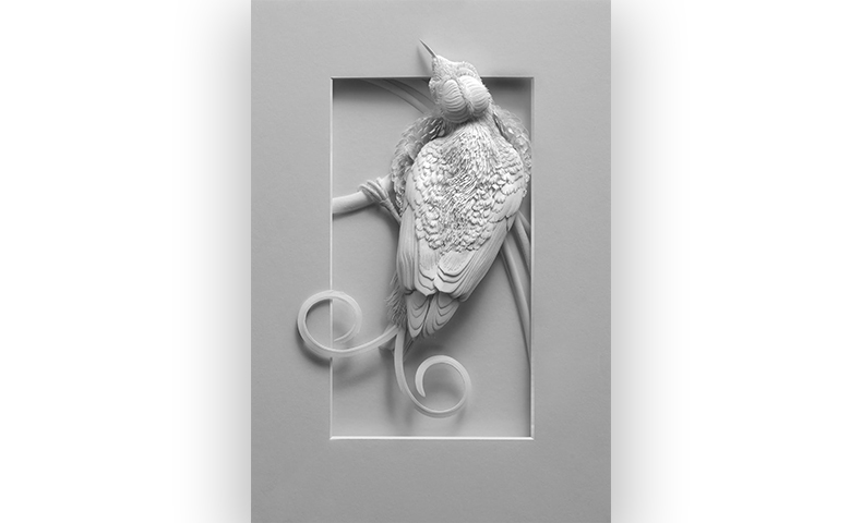 Wilson's Bird of Paradise by paper artist Calvin Nicholls