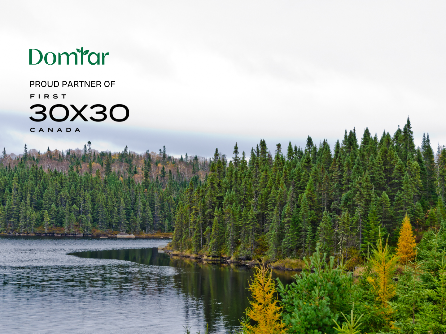 Image of forest along lake shore. Domtar logo and "proud parter of First First30x30 Canada" is superimposed in the top left corner. Funding supports Indigenous-led conservation