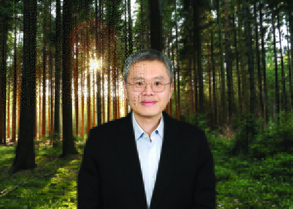 Domtar owner Jackson Wijaya – headshot.
