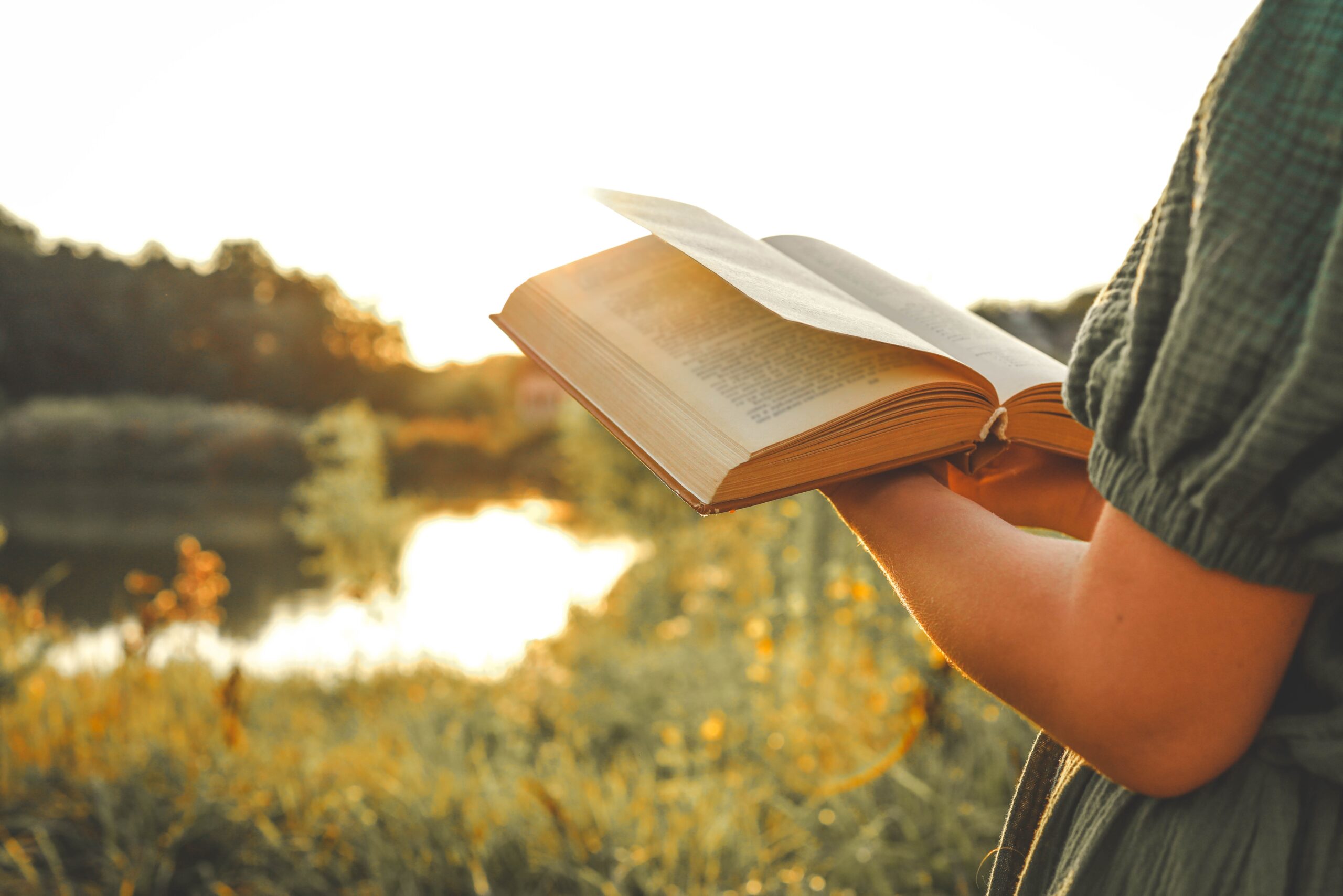 Summer Nonfiction reading this June