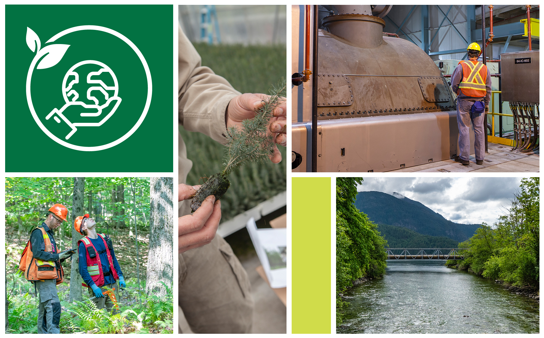 environmental stewardship