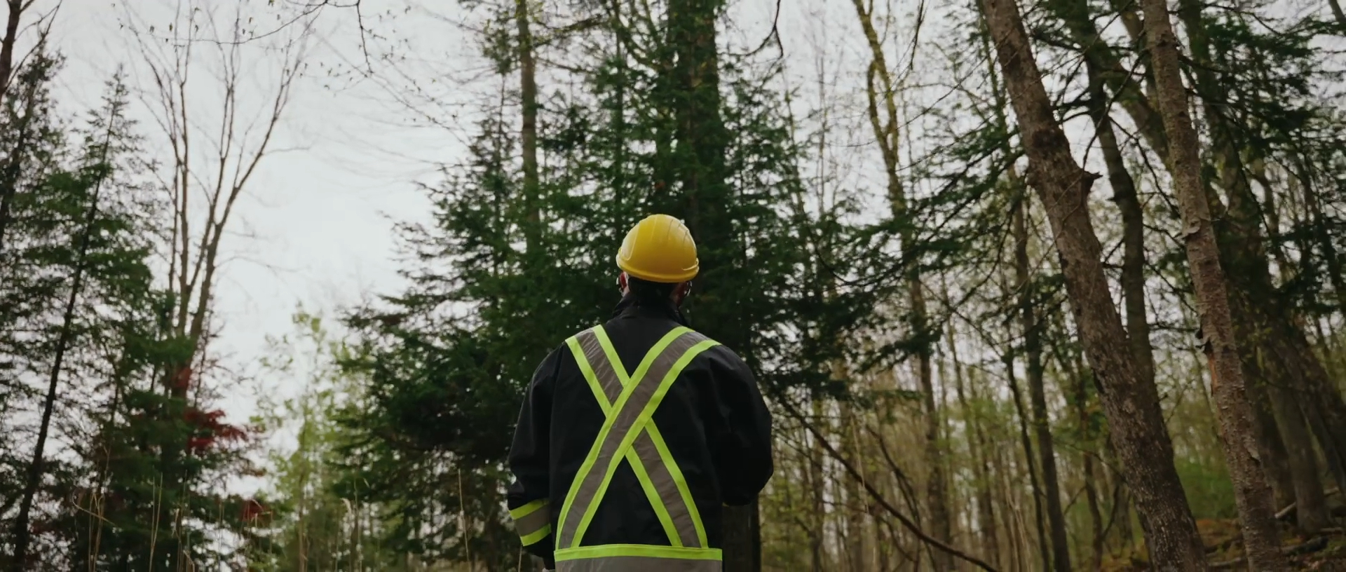 A new documentary features Domtar as a forest products manufacturer.