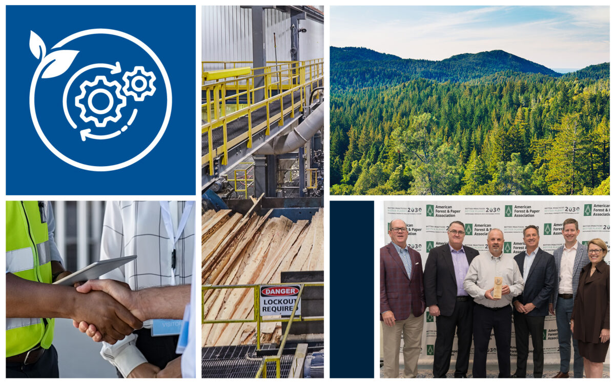Sustainability Pillar - Responsible Business