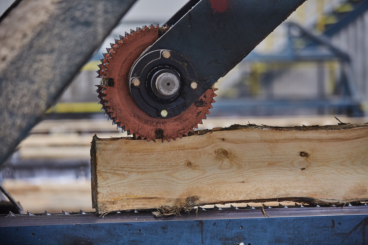 AI modeling boosts efficeincy in Domtar's sawmills