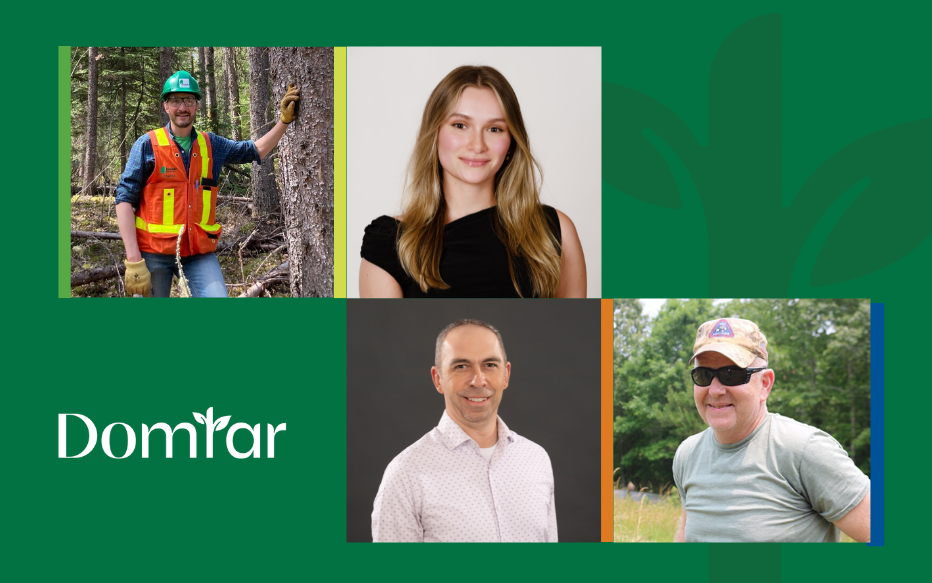 Domtar's forest engineers