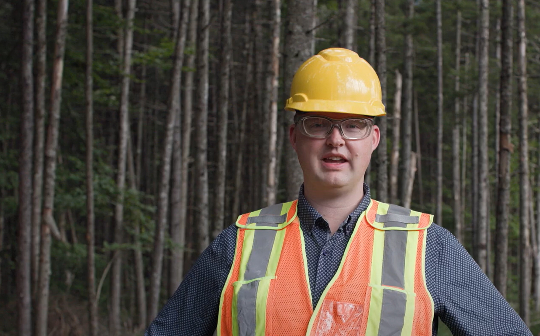 Quinton Hayward, the chief forester for the Pulp and Tissue business unit at Domtar.