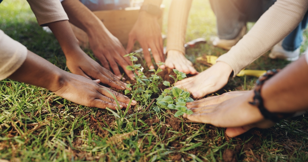 Shutterstock image description: Nature, soil and hands of people with plant for growth, sustainability and eco friendly charity outreach. Read Domtar owner Jackson Wijaya's bio.